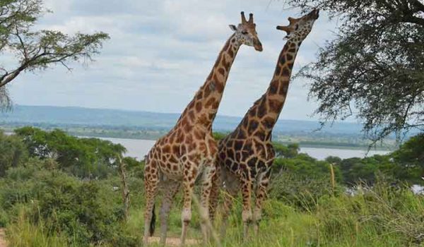 africa tours adventure