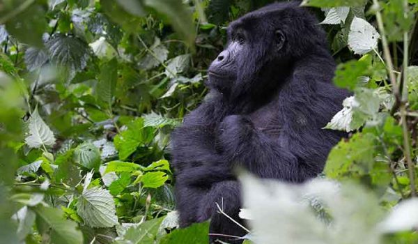Explore Uganda