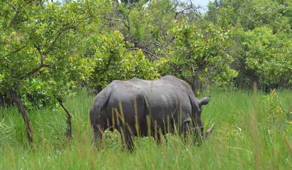 Africa tours adventure